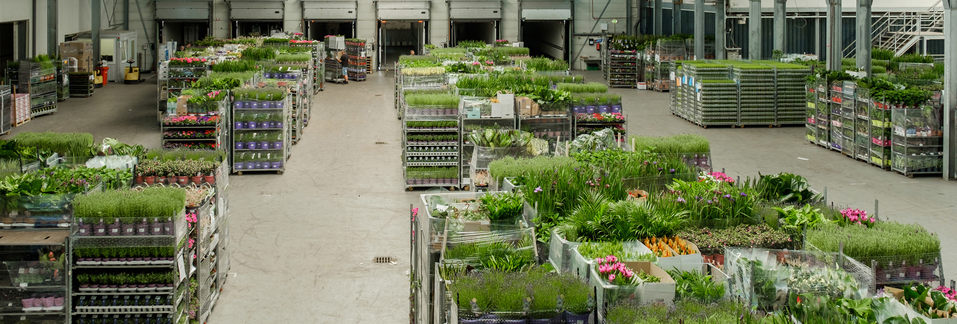 John Pronk Transport B.V.